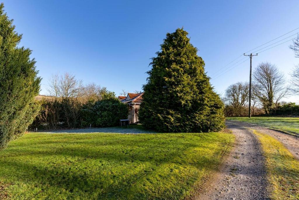 Beaconsfield Farm Apartment Wells Luaran gambar
